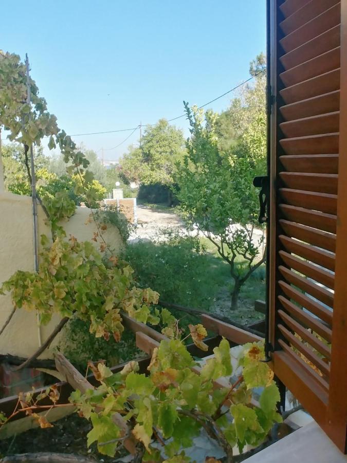 Villa Ζini 2 à Kéfalos Extérieur photo