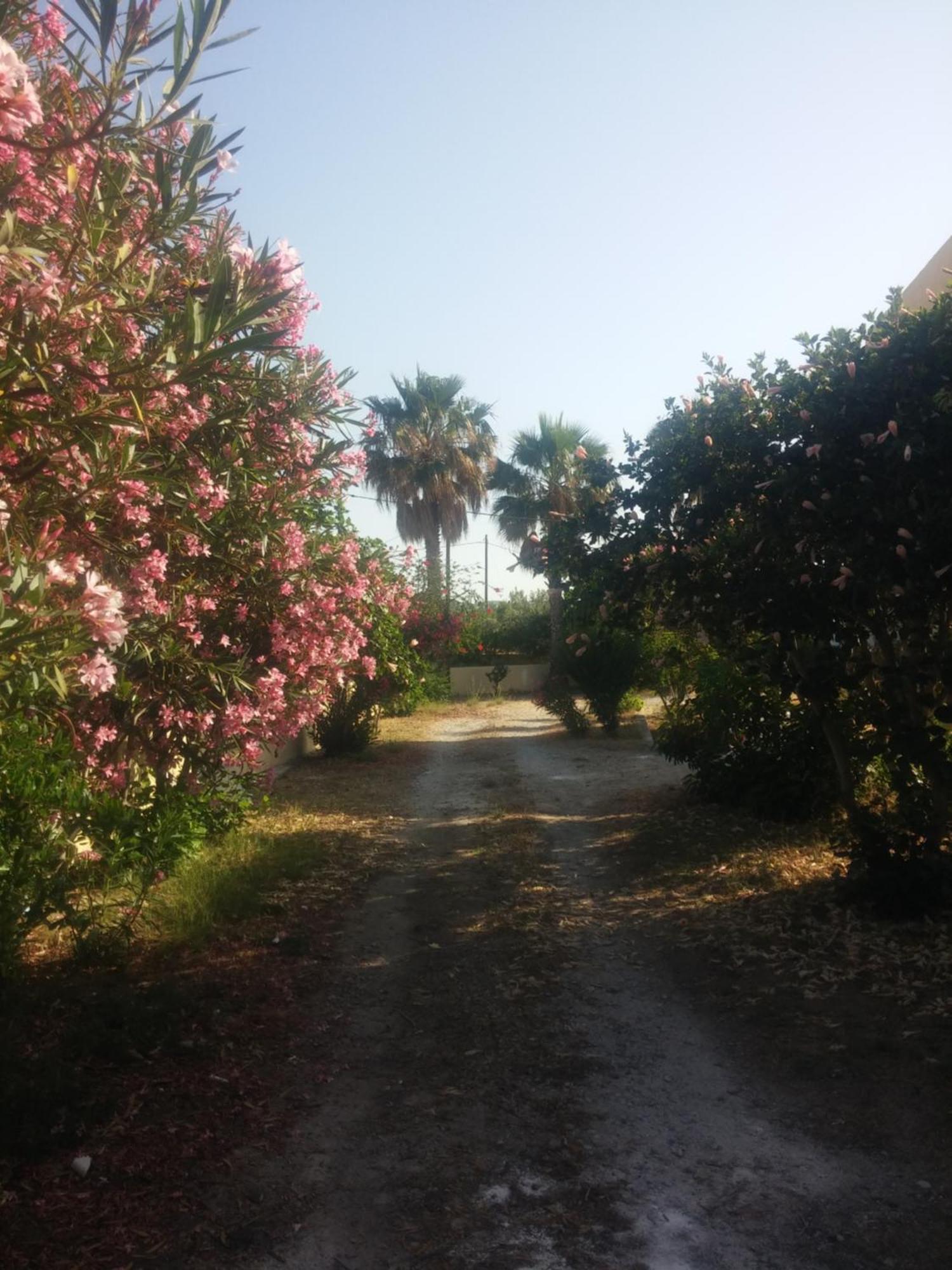 Villa Ζini 2 à Kéfalos Extérieur photo