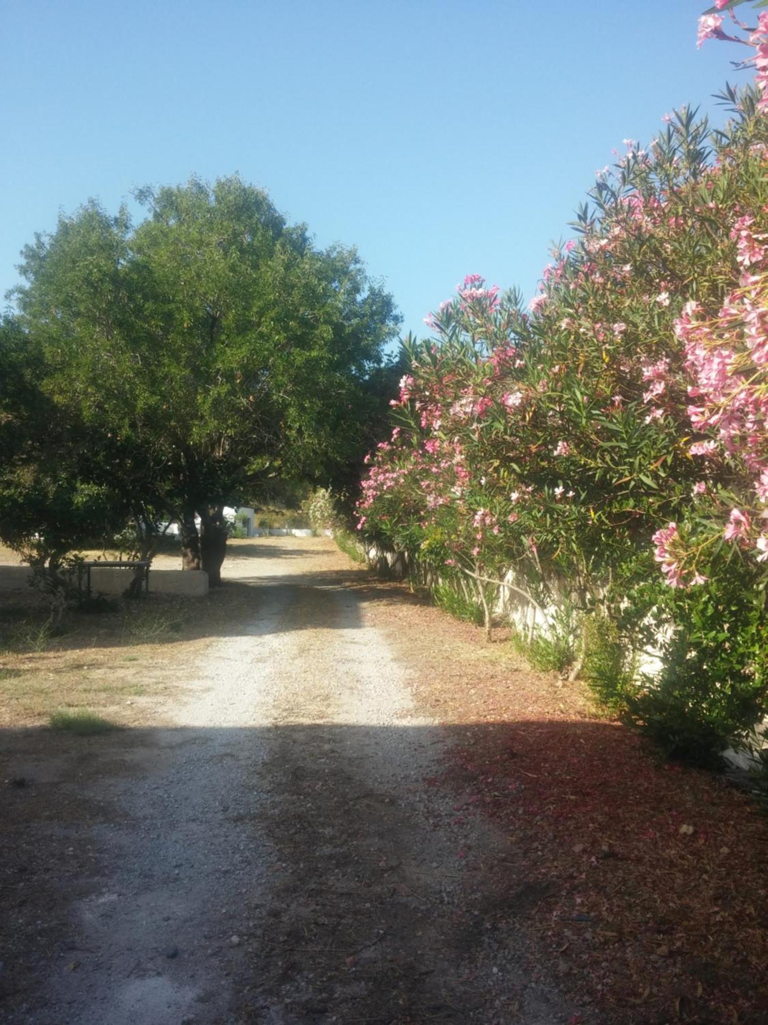 Villa Ζini 2 à Kéfalos Extérieur photo